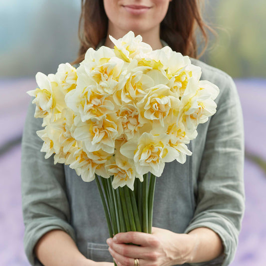 White Lion - Daffodil Bulbs (Double)
