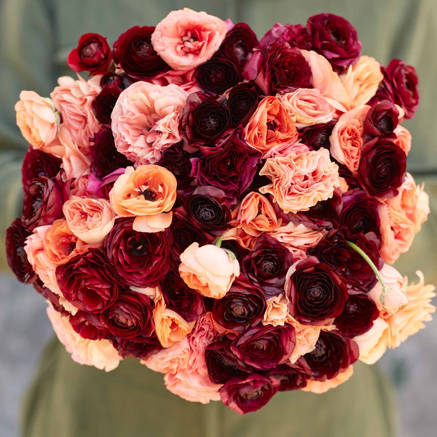 Princess Bride Mix - Ranunculus Bulbs