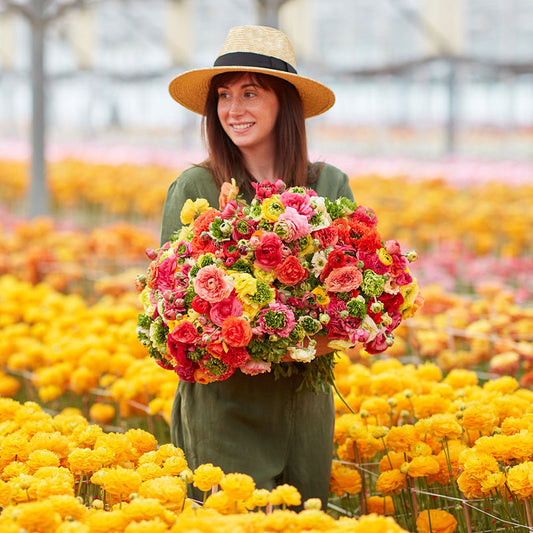 Super Green Mix - Ranunculus Bulbs